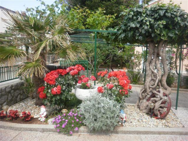 Kornić Apartmani Braut מראה חיצוני תמונה